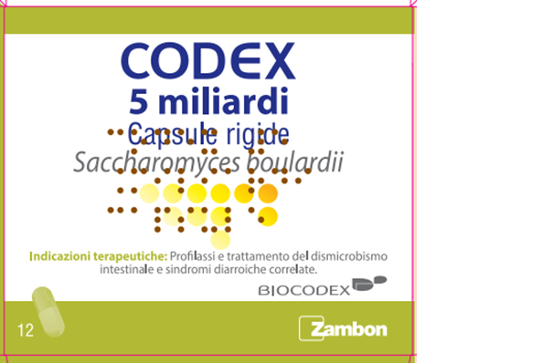 CODEX*12CPS 5MLD 250MG - Luckyfarma.it