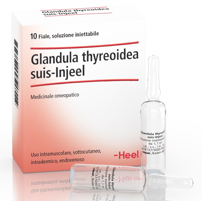 HEEL GLANDULA THYROIDEA SUIS INJEEL 10 FIALE - Luckyfarma.it