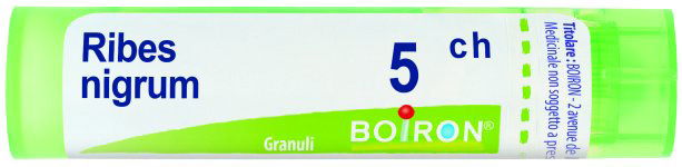 RIBES NIGRUM 5CH GRANULI - Luckyfarma.it