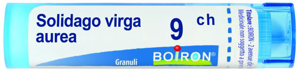 SOLIDAGO VIRGA AUREA 9CH GRANULI - Luckyfarma.it