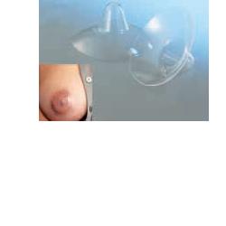 AMEDA CAPPELETTI SENO MEDIA 2 PEZZI - Luckyfarma.it