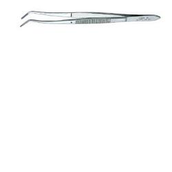 PINZA MEDICAZIONE DENTARIA - Luckyfarma.it