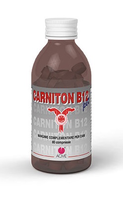 CARNITON B 12 80 COMPRESSE - Luckyfarma.it