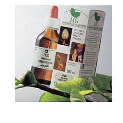 BETULA VERRUCOSA 100ML MG - Luckyfarma.it