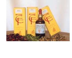 TAMARIX GEMME 100ML MG - Luckyfarma.it