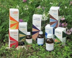 RAEMIL SALVIA MACERATO IDROALCOLICO COMP 50 ML - Luckyfarma.it