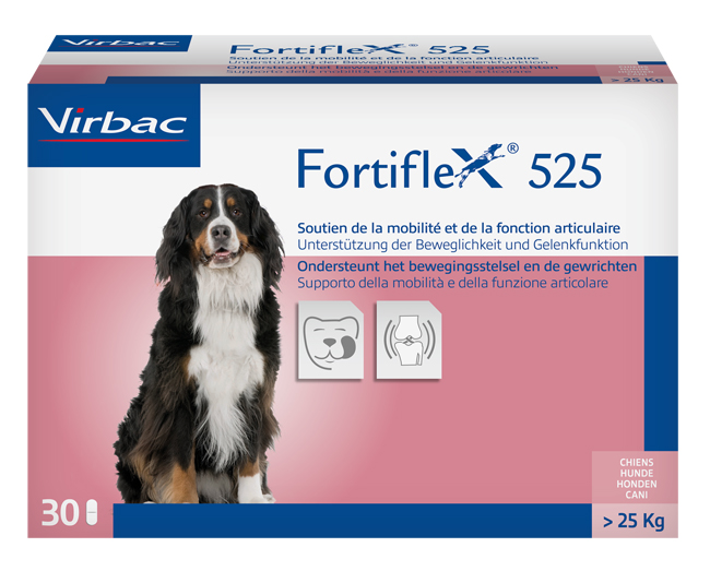 FORTIFLEX 525 MG 30 COMPRESSE APPETIBILI - Luckyfarma.it