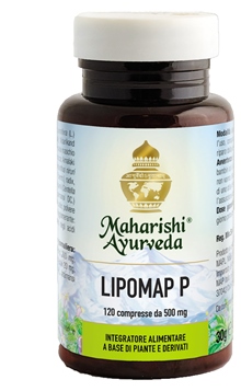 LIPOMAP P 120 COMPRESSE - Luckyfarma.it