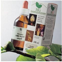 BETULLA 100ML MG - Luckyfarma.it