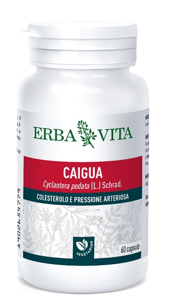 CAIGUA 60 CAPSULE 400 MG - Luckyfarma.it
