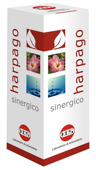 HARPAGO SINERGICO GOCCE 100 ML - Luckyfarma.it