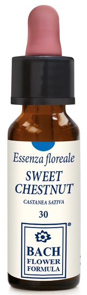 SWEET CHESTNUT ORIGINAL 10ML - Luckyfarma.it