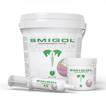 SMIGOL PASTA 1 SIRINGA 100 G - Luckyfarma.it