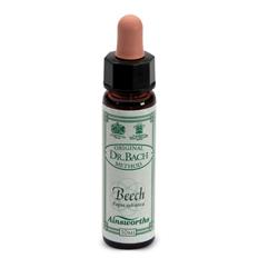 AINSWORTHS BEECH 10ML - Luckyfarma.it
