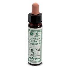 AINSWORTHS CHESTNUT BUD 10ML - Luckyfarma.it