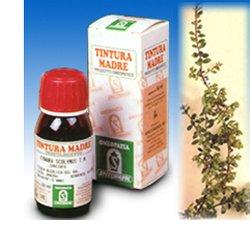 UVA URSINA 30 50ML TM - Luckyfarma.it