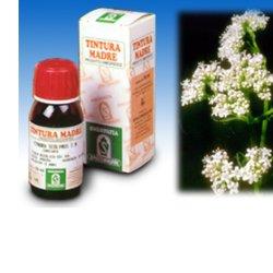 VALERIANA 36 TINTURA MADRE 50 ML - Luckyfarma.it
