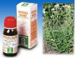 ACHILLEA 51 50ML TM - Luckyfarma.it