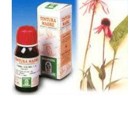 ECHINACEA 59 50ML TM - Luckyfarma.it