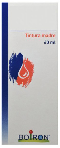 THUYA OCCIDENTALIS TINTURA MADRE 60 ML - Luckyfarma.it