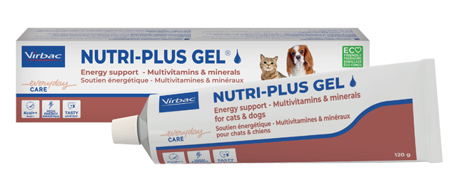 NUTRIPLUS GEL PASTA ORALE 120 G - Luckyfarma.it