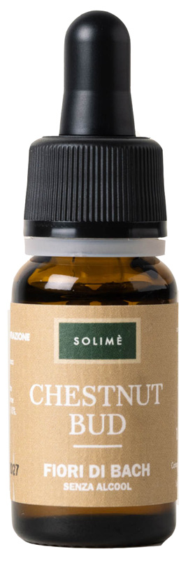 CHESTNUT BUD 10 ML - Luckyfarma.it