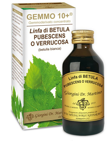 GEMMO 10+ BETULLA B LINFA 100 ML LIQUIDO ANALCOLICO - Luckyfarma.it