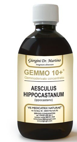 GEMOO 10+ GEMMODERIVATO CONCENTRATO IPPOCASTANO LIQUIDO ANALCOLICO AESCULUS HIPPOCASTANUM IPPOCASTANO 500 ML - Luckyfarma.it