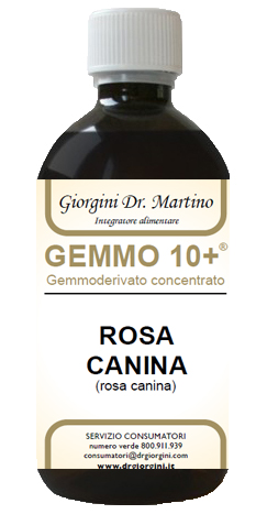GEMMO 10+ ROSA CANINA LIQUIDO ANALCOLICO 500 ML - Luckyfarma.it