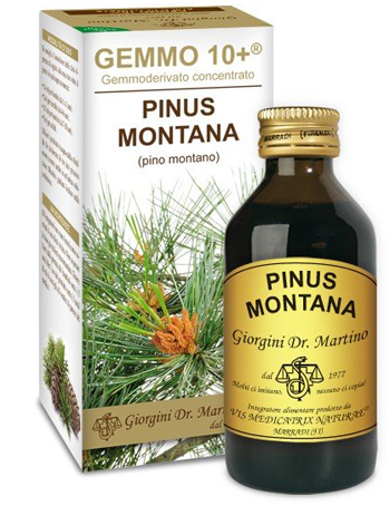 GEMMO 10+ PINO MONTANO 100 ML LIQUIDO ANALCOLICO - Luckyfarma.it