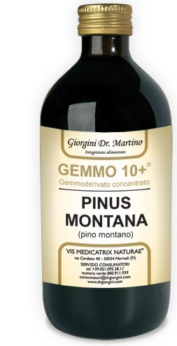 GEMMO 10+ GEMMODERIVATO CONCENTRATO LIQUIDO ANALCOLICO PINUS MONTANA PINO MONTANO 500 ML - Luckyfarma.it