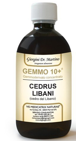 GEMMO 10+ CEDRO DEL LIBANO 500 ML LIQUIDO ANALCOLICO - Luckyfarma.it