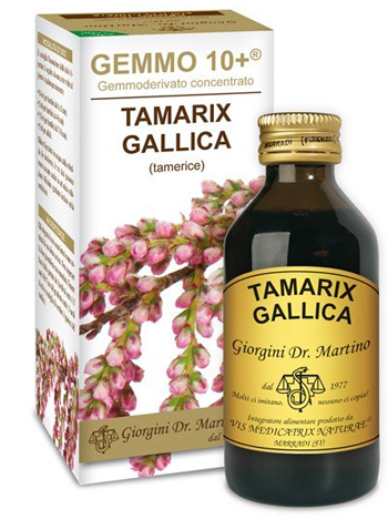 GEMMO 10+ TAMERICE 100 ML LIQUIDO ANALCOLICO - Luckyfarma.it