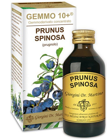 GEMMO 10+ PRUGNOLO 100 ML LIQUIDO ANALCOLICO - Luckyfarma.it