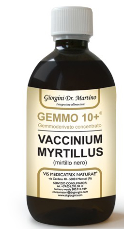 GEMMO 10+ MIRTILLO NERO LIQUIDO ANALCOLICO 500 ML - Luckyfarma.it