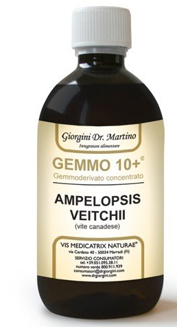 GEMMO 10+ GEMMODERIVATO CONCENTRATO LIQUIDO ANALCOLICO AMPELOPSIS VEITCHI VITE CANADESE 500 ML - Luckyfarma.it