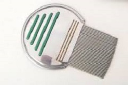 PETTINE ACCIAIO PER RIMOZIONE PIDOCCHI - Luckyfarma.it