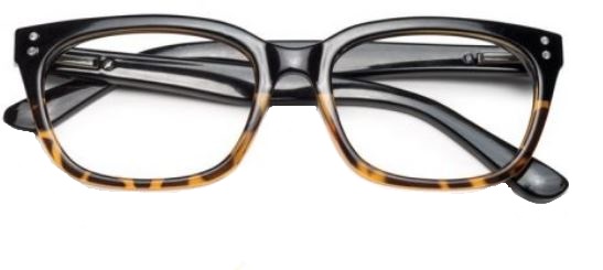OCCHIALE DA LETTURA PREMONTATO TWINS PLATINUM CAT MARRONE +1,00 - Luckyfarma.it