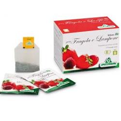 INFUSO FRAGOLA/LAMPONE 20 FILTRI - Luckyfarma.it