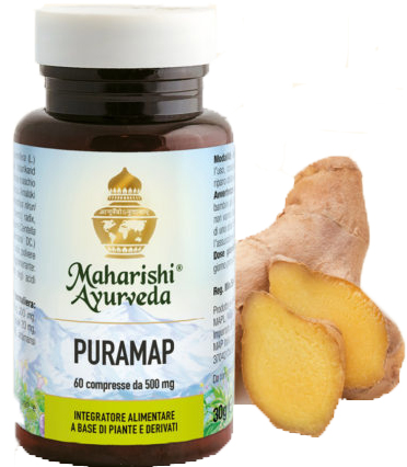 PURAMAP 60 COMPRESSE - Luckyfarma.it
