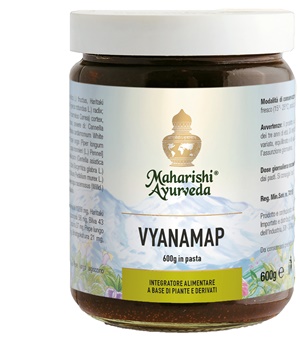 VYANAMAP PASTA 600 G - Luckyfarma.it