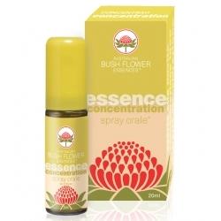 CONCENTRATION SPRAY ORALE 20 ML - Luckyfarma.it