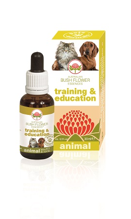 TRAINING & EDUCATION 30 ML - Luckyfarma.it