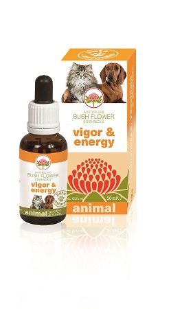 VIGOR & ENERGY 30 ML - Luckyfarma.it
