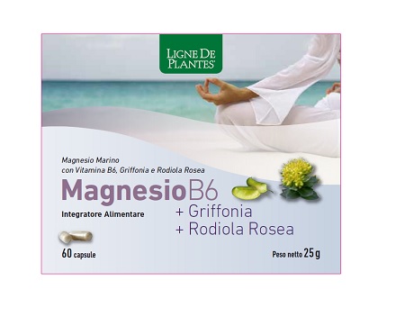 MAGNESIO B6 + GRIFFONIA + RODIOLA 60 CAPSULE - Luckyfarma.it
