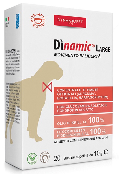 DINAMIC LARGE 20 BUSTINE 10 G - Luckyfarma.it