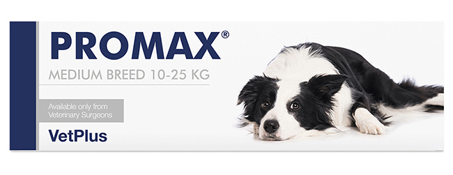 PROMAX MEDIUM BREED 18 ML - Luckyfarma.it