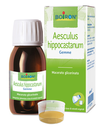 AESCULUS HIPPOCASTANUM MACERATO GLICERICO 60 ML INT - Luckyfarma.it