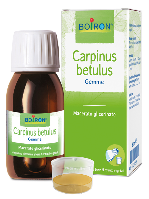 CARPINUS BETULUS MACERATO GLICERICO 60 ML INT - Luckyfarma.it