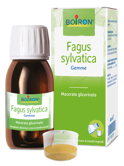 FAGUS SYLVATICA MACERATO GLICERICO 60 ML INT - Luckyfarma.it